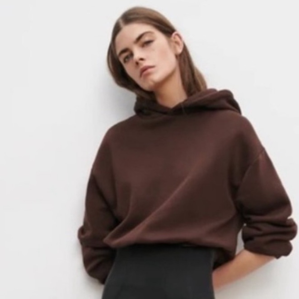 Zara cropped chocolate brown hooded sweatshirt